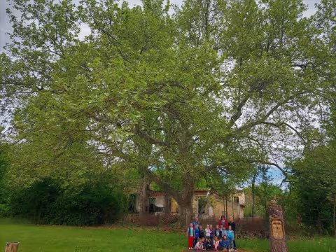 Az emlékek fája-Békéscsaba